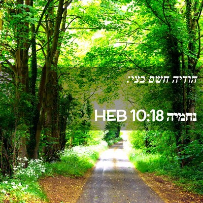 Picture 02 - נחמיה 10:18 HEB - הודיה חשם - Bible Verse Picture