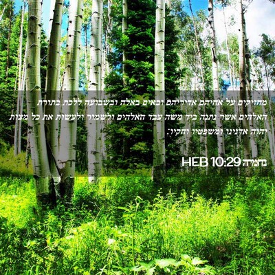 Picture 02 - נחמיה 10:29 HEB - מחזיקים על אחיהם אדיריהם - Bible Verse Picture