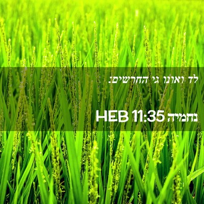 Picture 02 - נחמיה 11:35 HEB - לד ואונו גי - Bible Verse Picture