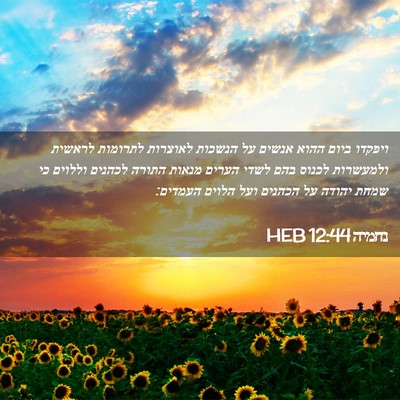 Picture 02 - נחמיה 12:44 HEB - ויפקדו ביום ההוא אנשים על - Bible Verse Picture