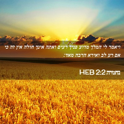 Picture 02 - נחמיה 2:2 HEB - ויאמר לי המלך מדוע פניך - Bible Verse Picture