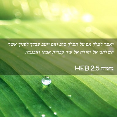 Picture 02 - נחמיה 2:5 HEB - ואמר למלך אם על המלך טוב - Bible Verse Picture