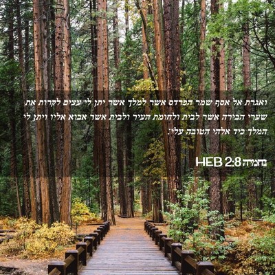 Picture 02 - נחמיה 2:8 HEB - ואגרת אל אסף שמר הפרדס אשר - Bible Verse Picture
