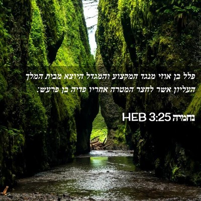 Picture 02 - נחמיה 3:25 HEB - פלל בן אוזי מנגד המקצוע - Bible Verse Picture