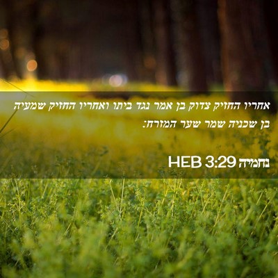 Picture 02 - נחמיה 3:29 HEB - אחריו החזיק צדוק בן אמר נגד - Bible Verse Picture