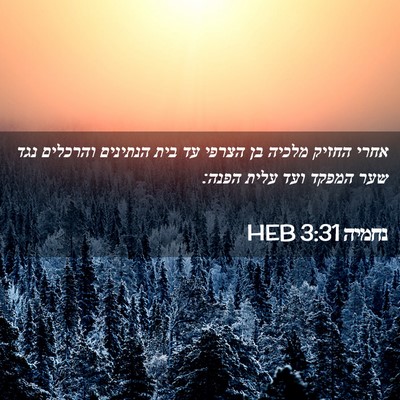 Picture 02 - נחמיה 3:31 HEB - אחרי החזיק מלכיה בן הצרפי - Bible Verse Picture