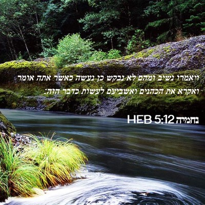 Picture 02 - נחמיה 5:12 HEB - ויאמרו נשיב ומהם לא נבקש כן - Bible Verse Picture