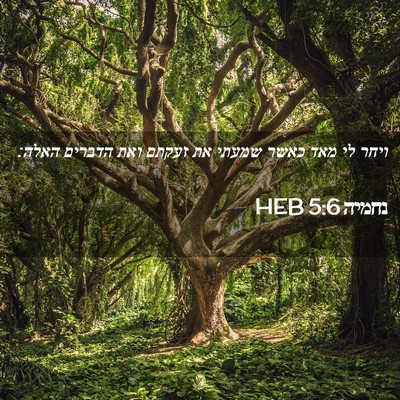 Picture 02 - נחמיה 5:6 HEB - ויחר לי מאד כאשר שמעתי את - Bible Verse Picture