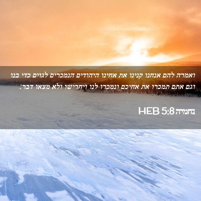 Picture 02 - נחמיה 5:8 HEB - ואמרה להם אנחנו קנינו את - Bible Verse Picture