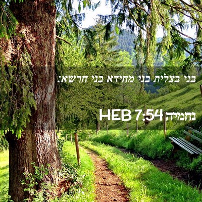 Picture 02 - נחמיה 7:54 HEB - בני בצלית בני מחידא בני - Bible Verse Picture