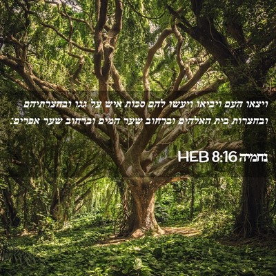 Picture 02 - נחמיה 8:16 HEB - ויצאו העם ויביאו ויעשו להם - Bible Verse Picture