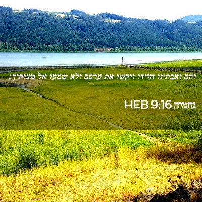 Picture 02 - נחמיה 9:16 HEB - והם ואבתינו הזידו ויקשו את - Bible Verse Picture