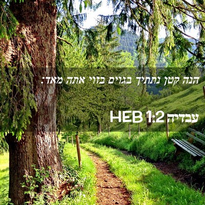 Picture 02 - עבדיה 1:2 HEB - הנה קטן נתתיך בגוים בזוי - Bible Verse Picture