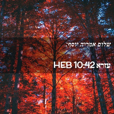 Picture 02 - עזרא 10:42 HEB - שלום אמריה - Bible Verse Picture