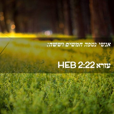 Picture 02 - עזרא 2:22 HEB - אנשי נטפה חמשים - Bible Verse Picture