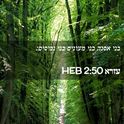 Picture 02 - עזרא 2:50 HEB - בני אסנה בני מעונים בני - Bible Verse Picture