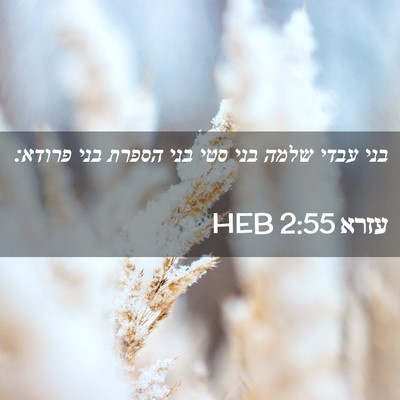 Picture 02 - עזרא 2:55 HEB - בני עבדי שלמה בני סטי בני - Bible Verse Picture