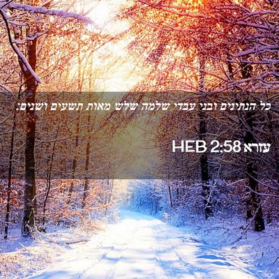 Picture 02 - עזרא 2:58 HEB - כל הנתינים ובני עבדי שלמה - Bible Verse Picture