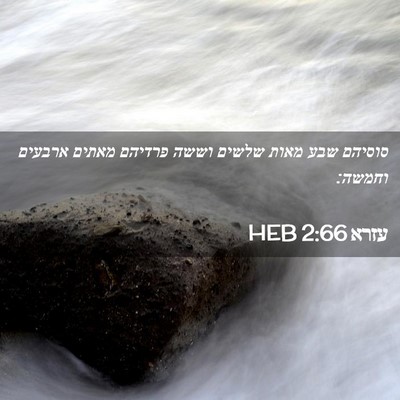 Picture 02 - עזרא 2:66 HEB - סוסיהם שבע מאות שלשים וששה - Bible Verse Picture