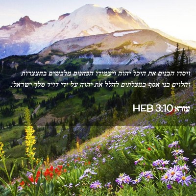 Picture 02 - עזרא 3:10 HEB - ויסדו הבנים את היכל יהוה - Bible Verse Picture