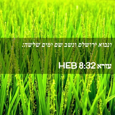 Picture 02 - עזרא 8:32 HEB - ונבוא ירושלם ונשב שם ימים - Bible Verse Picture