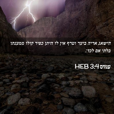 Picture 02 - עמוס 3:4 HEB - הישאג אריה ביער וטרף אין לו - Bible Verse Picture