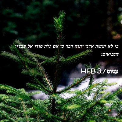 Picture 02 - עמוס 3:7 HEB - כי לא יעשה אדני יהוה דבר כי - Bible Verse Picture