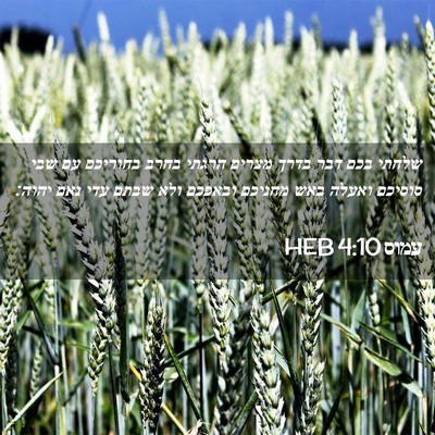 Picture 02 - עמוס 4:10 HEB - שלחתי בכם דבר בדרך מצרים - Bible Verse Picture