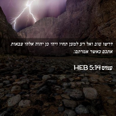 Picture 02 - עמוס 5:14 HEB - דרשו טוב ואל רע למען תחיו - Bible Verse Picture