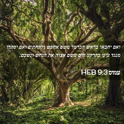 Picture 02 - עמוס 9:3 HEB - ואם יחבאו בראש הכרמל משם - Bible Verse Picture