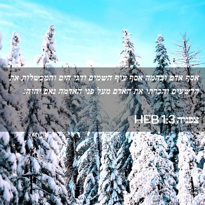 Picture 02 - צפניה 1:3 HEB - אסף אדם ובהמה אסף עוף השמים - Bible Verse Picture