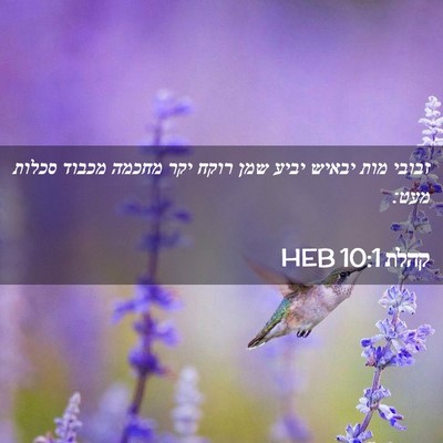 Picture 02 - קהלת 10:1 HEB - זבובי מות יבאיש יביע שמן - Bible Verse Picture