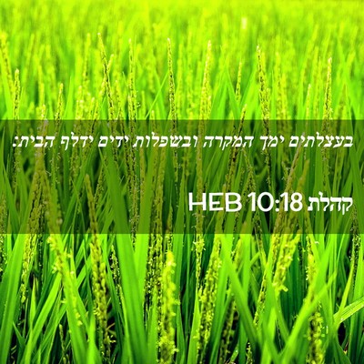 Picture 02 - קהלת 10:18 HEB - בעצלתים ימך המקרה ובשפלות - Bible Verse Picture