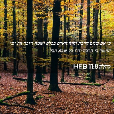 Picture 02 - קהלת 11:8 HEB - כי אם שנים הרבה יחיה האדם - Bible Verse Picture