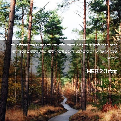Picture 02 - קהלת 2:3 HEB - תרתי בלבי למשוך ביין את - Bible Verse Picture