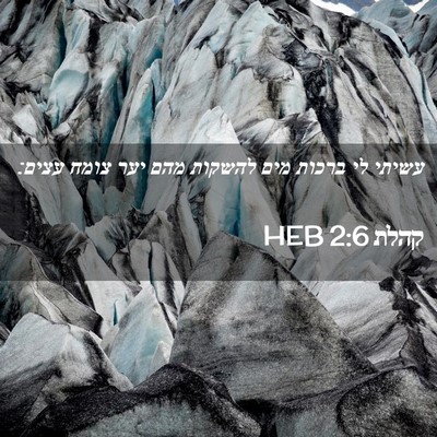 Picture 02 - קהלת 2:6 HEB - עשיתי לי ברכות מים להשקות - Bible Verse Picture