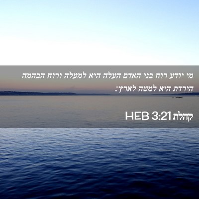 Picture 02 - קהלת 3:21 HEB - מי יודע רוח בני האדם העלה - Bible Verse Picture