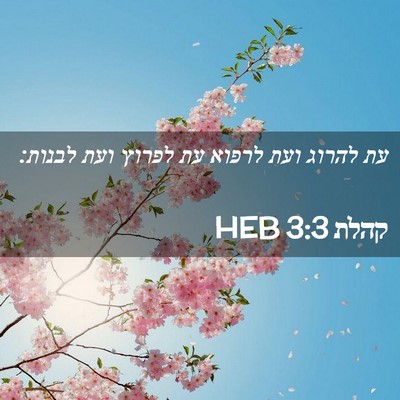 Picture 02 - קהלת 3:3 HEB - עת להרוג ועת לרפוא עת לפרוץ - Bible Verse Picture