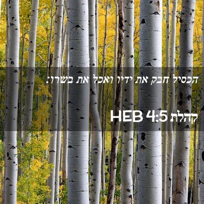 Picture 02 - קהלת 4:5 HEB - הכסיל חבק את ידיו ואכל את - Bible Verse Picture