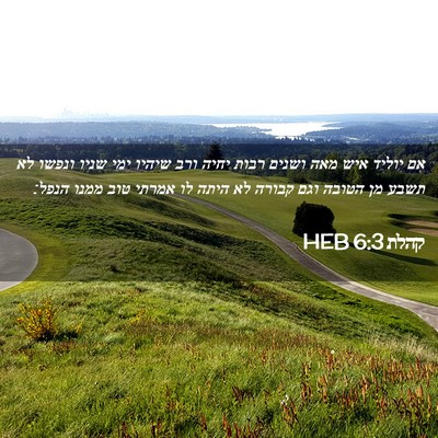 Picture 02 - קהלת 6:3 HEB - אם יוליד איש מאה ושנים רבות - Bible Verse Picture