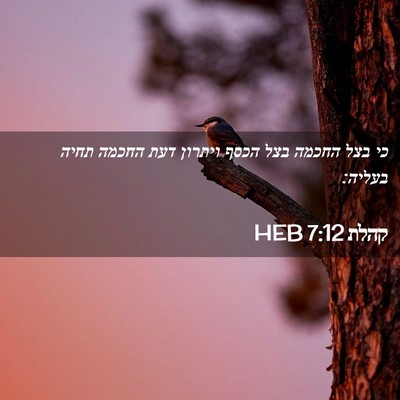 Picture 02 - קהלת 7:12 HEB - כי בצל החכמה בצל הכסף - Bible Verse Picture