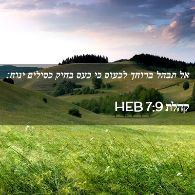 Picture 02 - קהלת 7:9 HEB - אל תבהל ברוחך לכעוס כי כעס - Bible Verse Picture