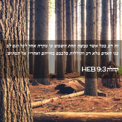 Picture 02 - קהלת 9:3 HEB - זה רע בכל אשר נעשה תחת השמש - Bible Verse Picture