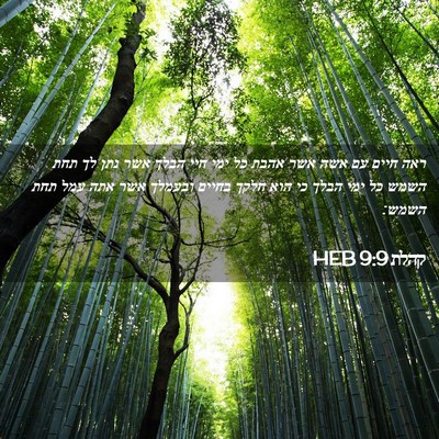 Picture 02 - קהלת 9:9 HEB - ראה חיים עם אשה אשר אהבת כל - Bible Verse Picture