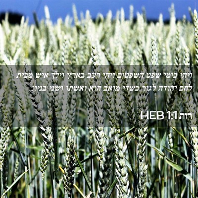 Picture 02 - רות 1:1 HEB - ויהי בימי שפט השפטים ויהי - Bible Verse Picture