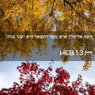 Picture 02 - רות 1:3 HEB - וימת אלימלך איש נעמי ותשאר - Bible Verse Picture