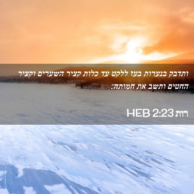 Picture 02 - רות 2:23 HEB - ותדבק בנערות בעז ללקט עד - Bible Verse Picture