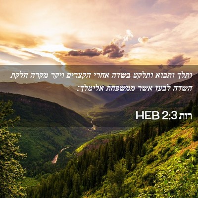 Picture 02 - רות 2:3 HEB - ותלך ותבוא ותלקט בשדה אחרי - Bible Verse Picture