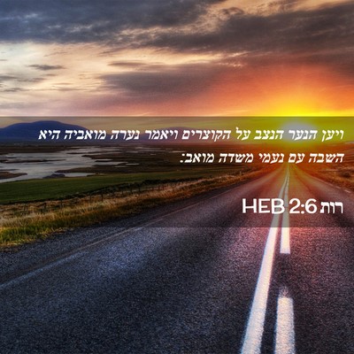 Picture 02 - רות 2:6 HEB - ויען הנער הנצב על הקוצרים - Bible Verse Picture