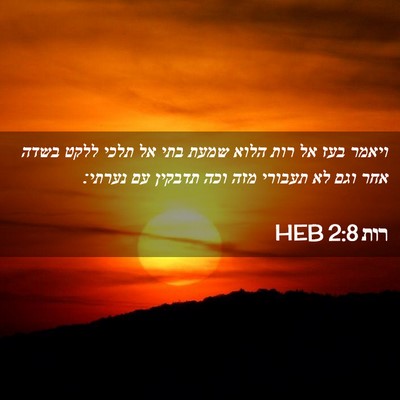 Picture 02 - רות 2:8 HEB - ויאמר בעז אל רות הלוא שמעת - Bible Verse Picture